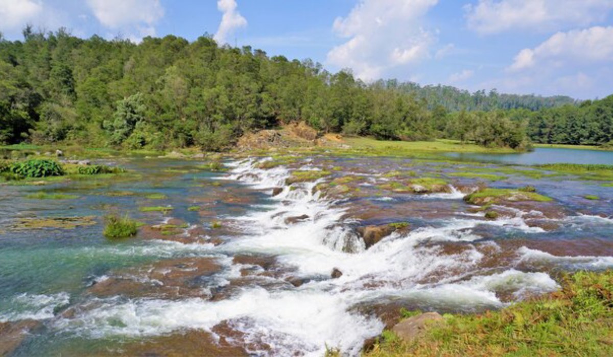 Coimbatore – Ooty - Coimbatore Gallery-3