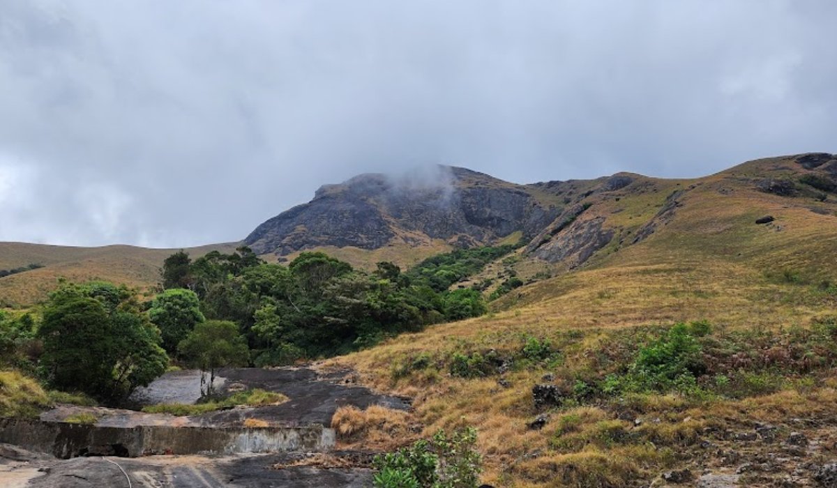 Munnar Gallery-2 (2)