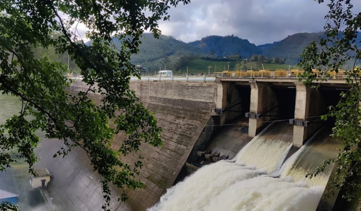 Munnar Gallery-3 (2)