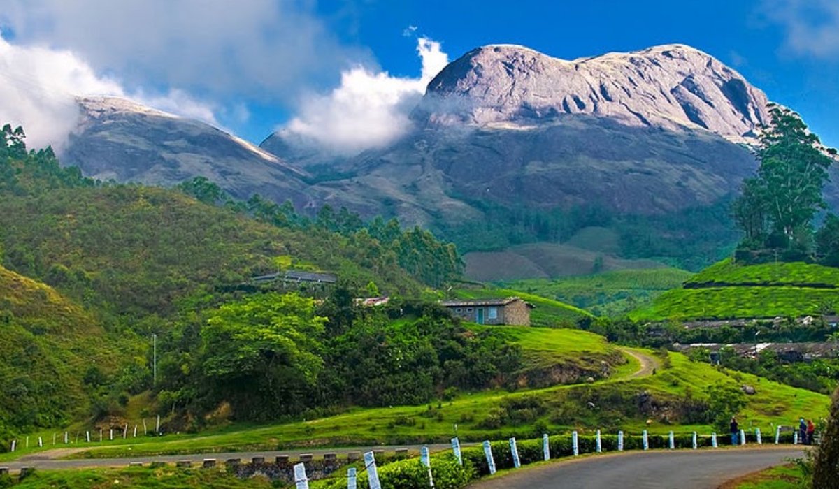 Munnar Gallery-4 (1)