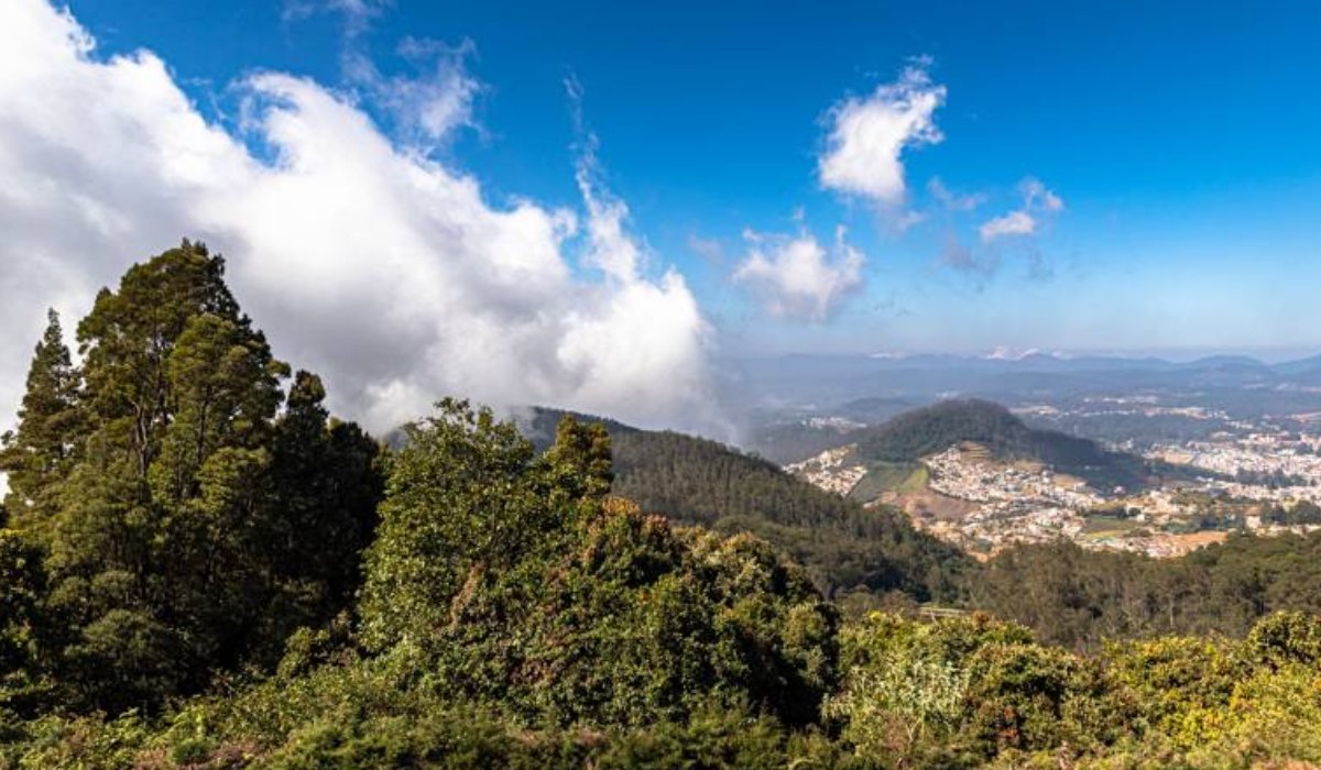 Mysore – Coorg- Ooty Gallery-2