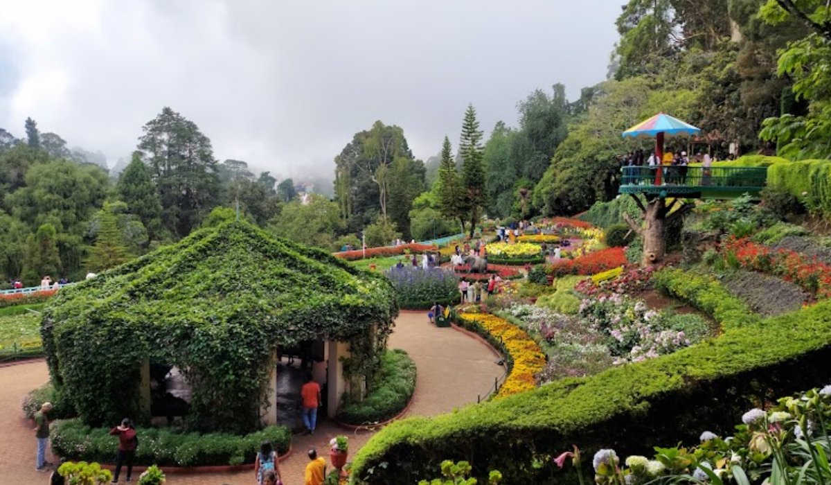 Mysore – Coorg- Ooty Gallery-3